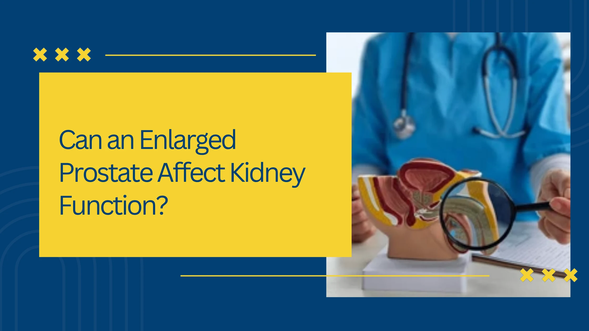 Can an Enlarged Prostate Affect Kidney Function?