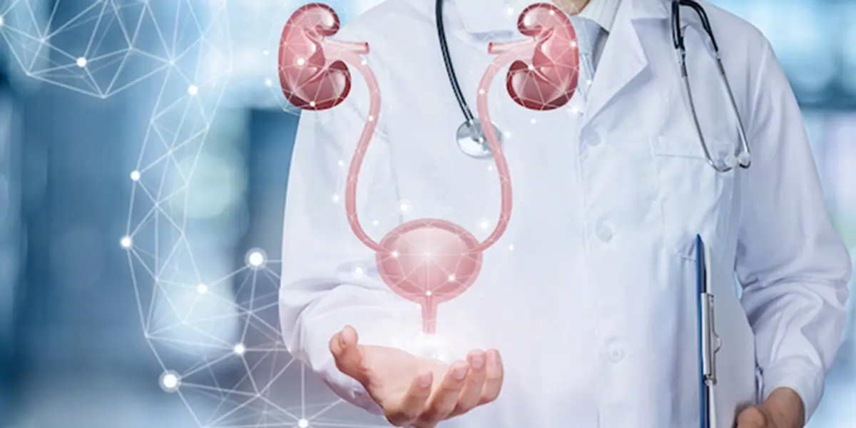 Best Urinary Tract Infection Treatment in Navi Mumbai